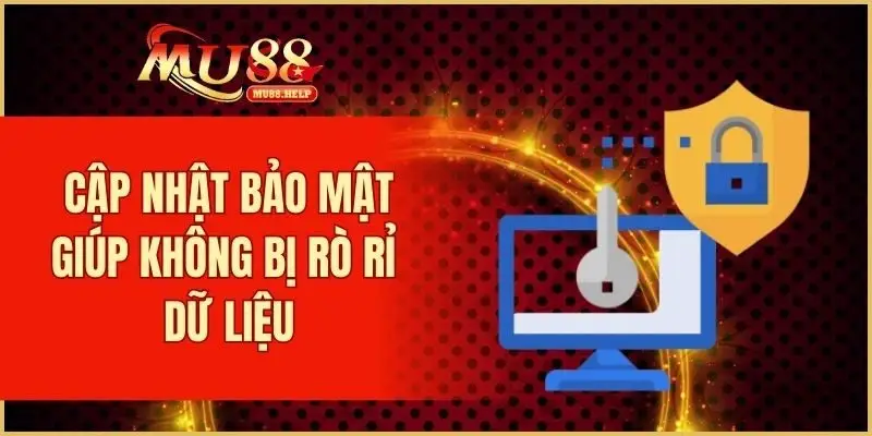 Cập nhật bảo mật giúp không bị rò rỉ dữ liệu